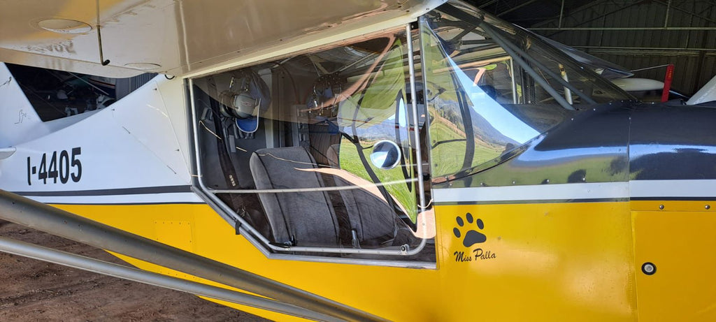 RANS S-6 Bubble Door